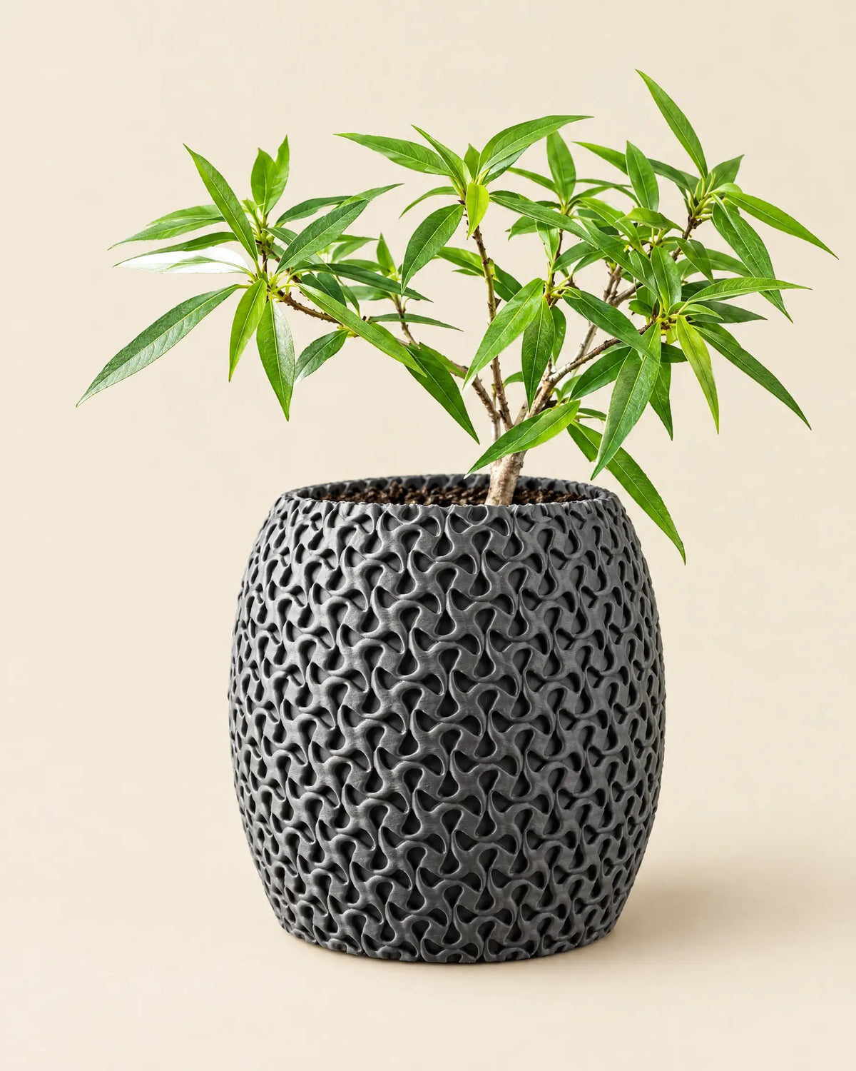 Pore Cylinder Planter
