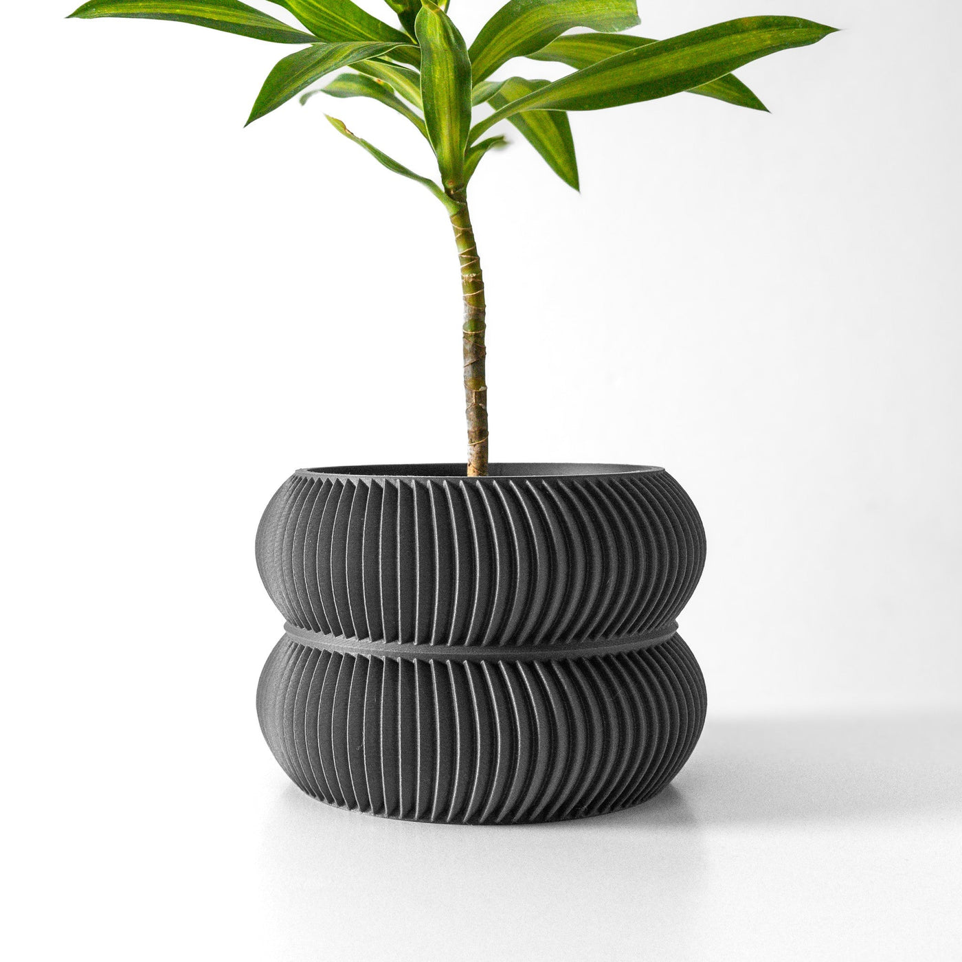 Twin Ring Planter
