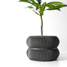 Twin Ring Planter