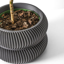 Twin Ring Planter