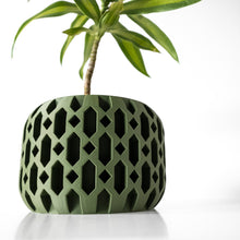 Checker Cut Planter