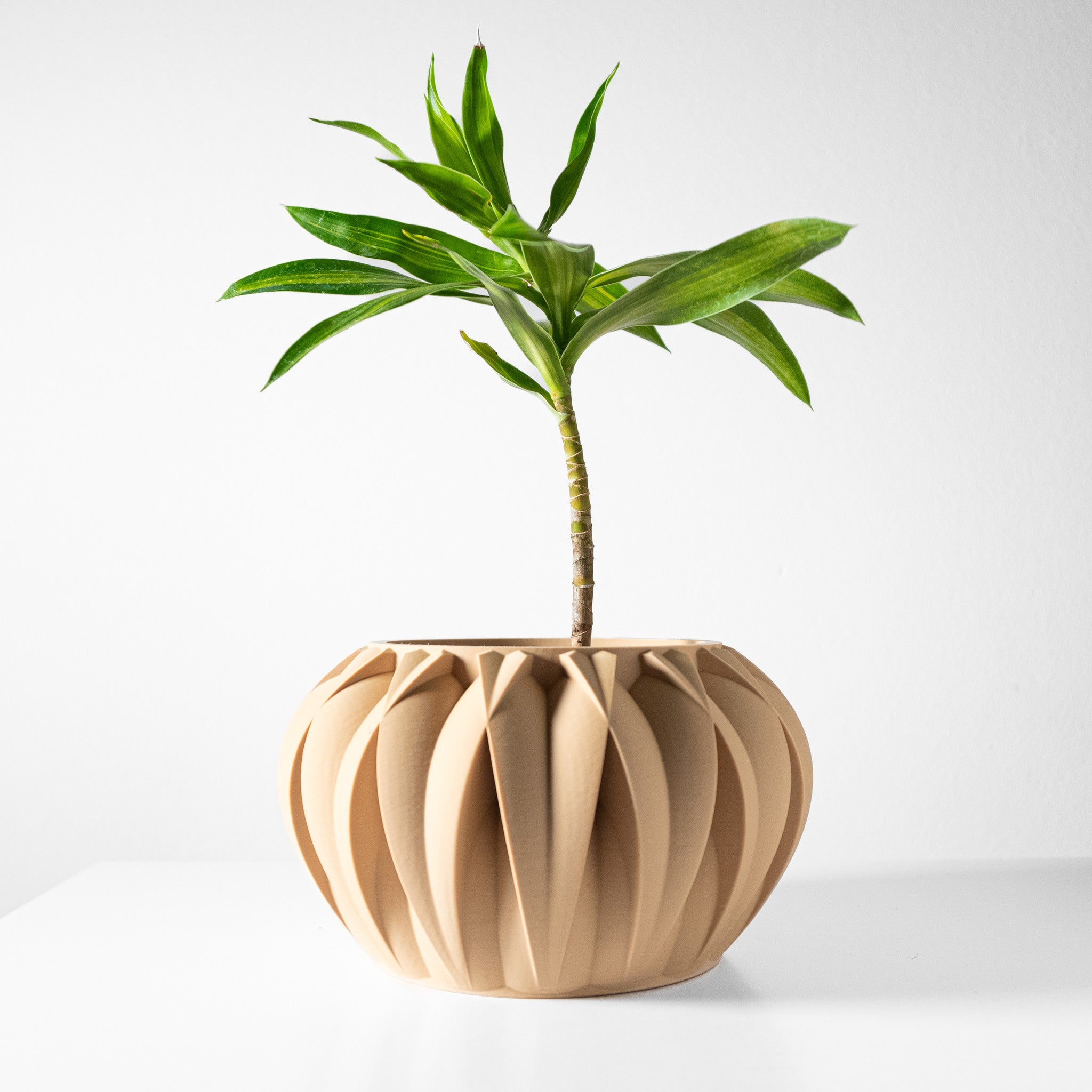 Radial Flute Planter - 3D printed planter by Valence Objects