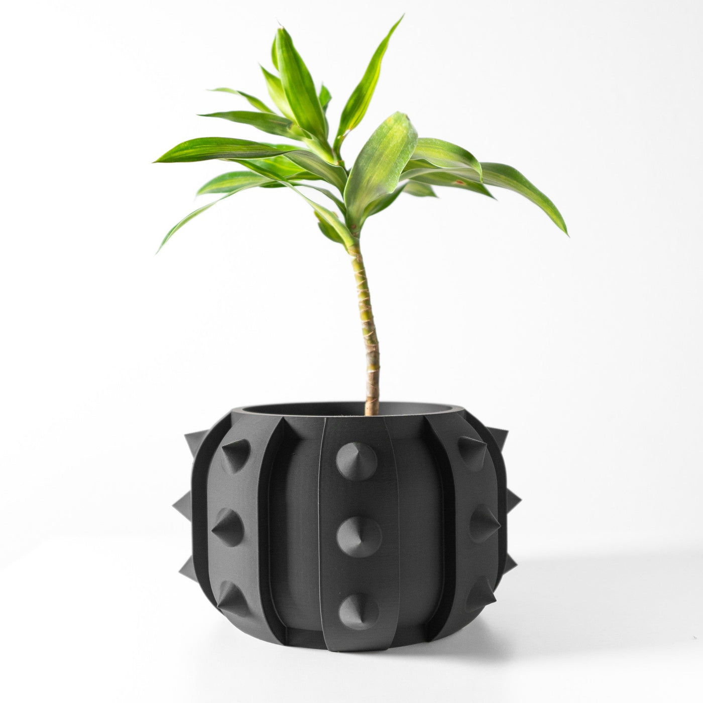 Spike Stud Planter