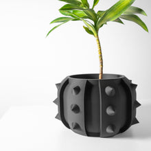 Spike Stud Planter