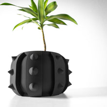 Spike Stud Planter
