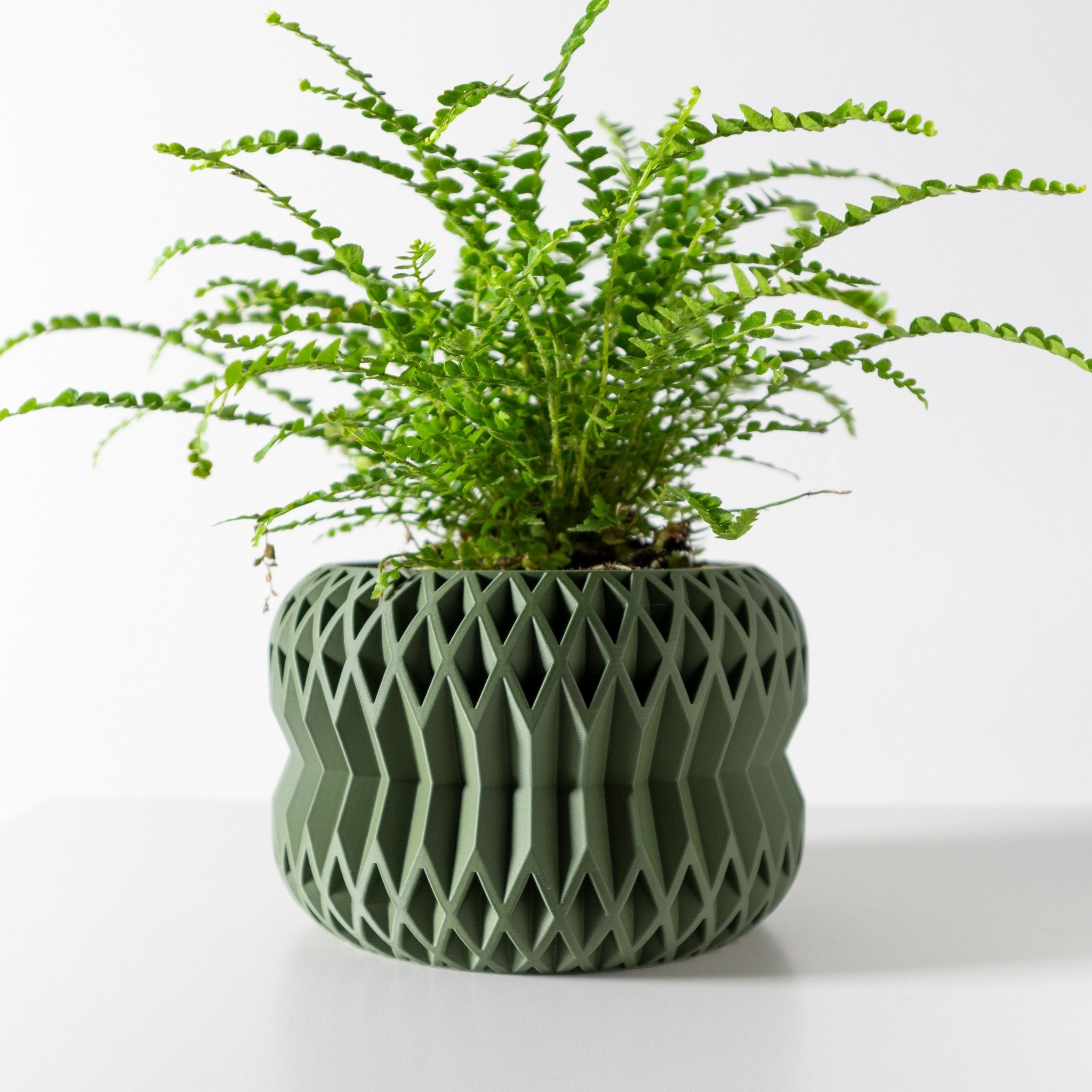 Lattice Fin Planter - 3D printed planter by Valence Objects
