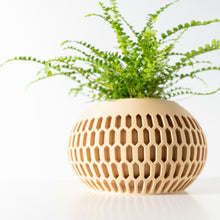 Oval Mesh Planter