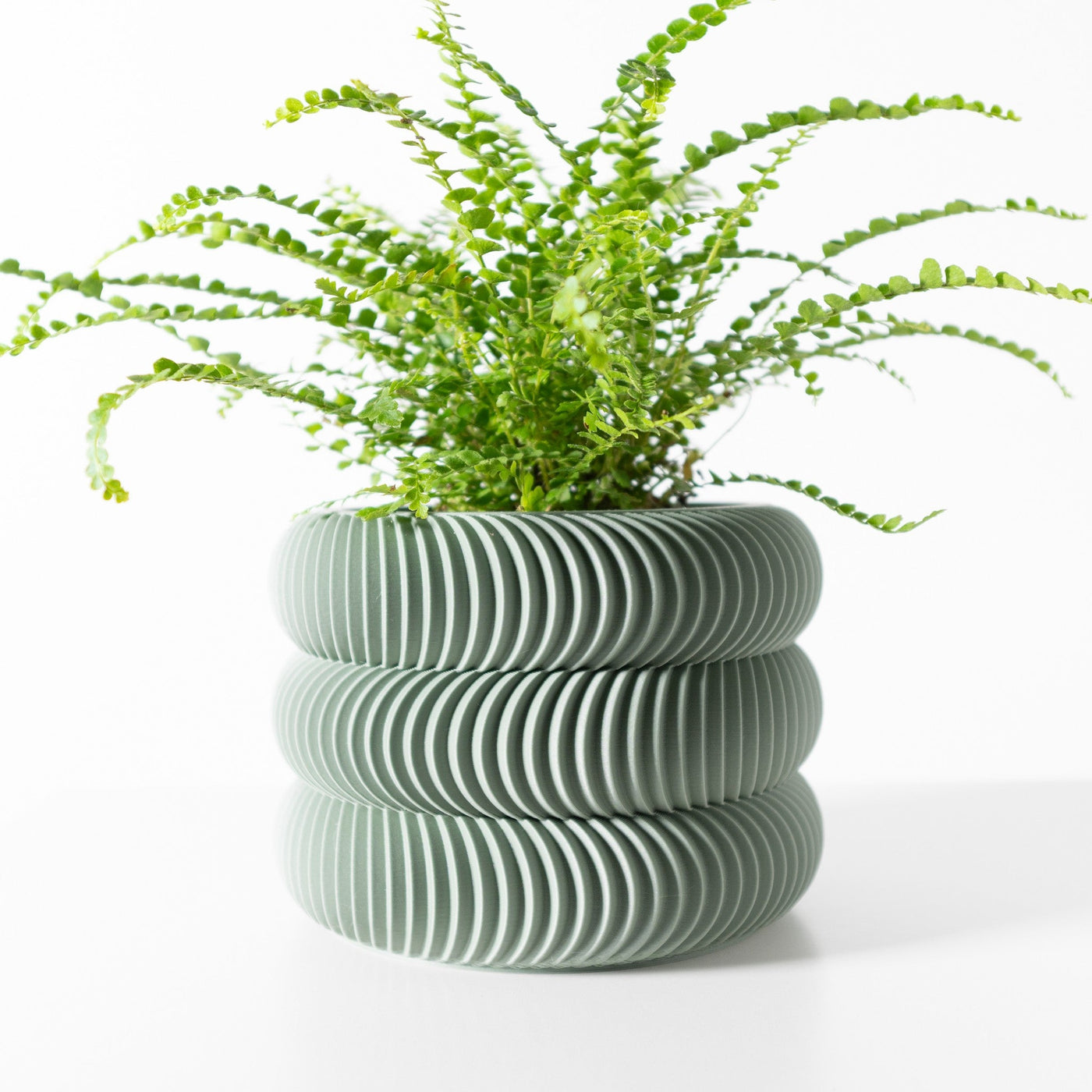 Wave Ring Planter