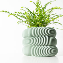 Wave Ring Planter