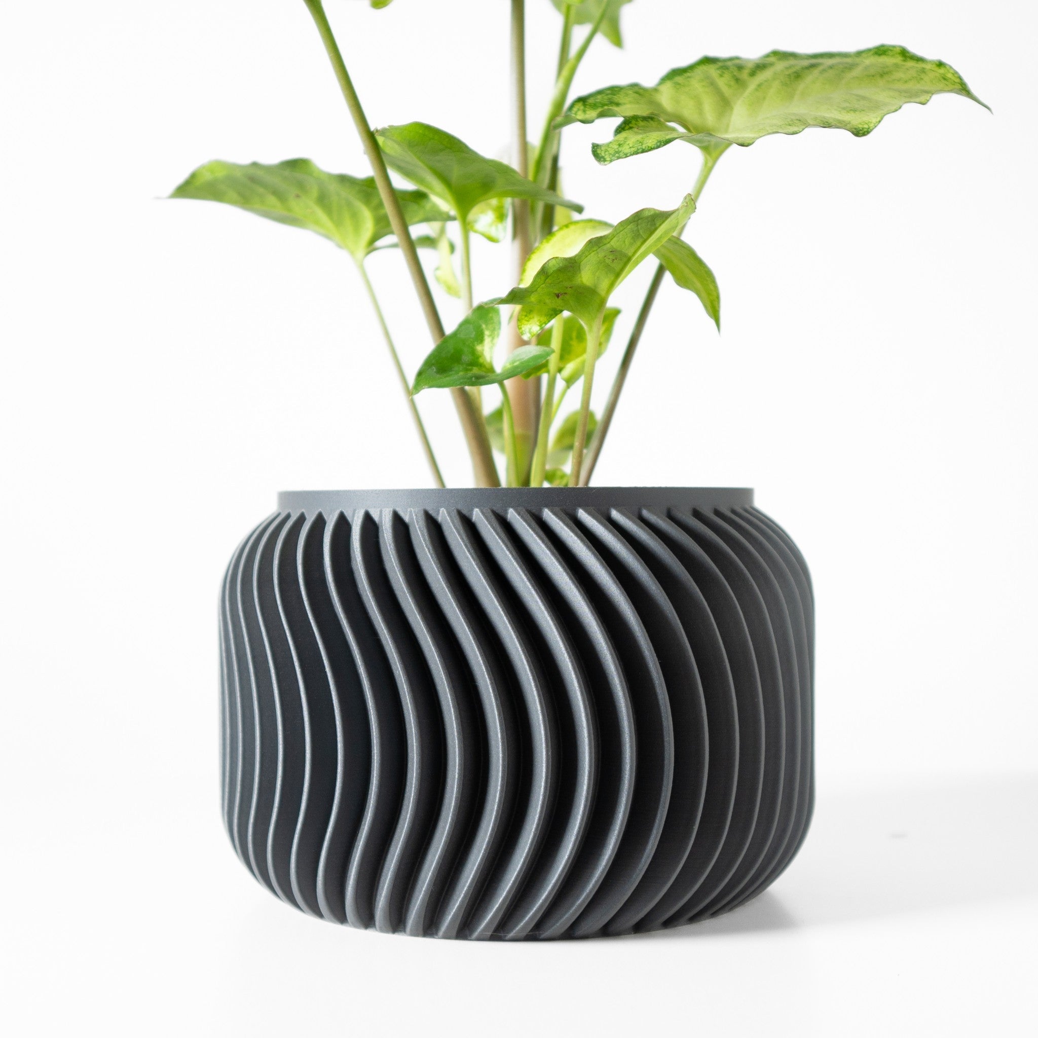 Fine Fin Planter - 3D printed planter by Valence Objects