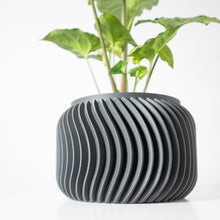 Fine Fin Planter