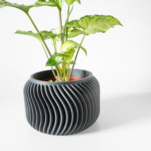 Fine Fin Planter