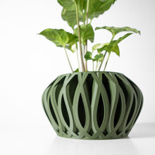 Tall Fin Planter