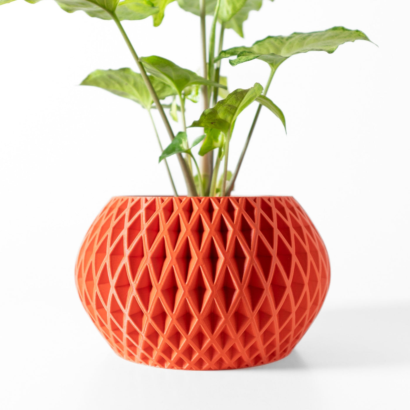 Diamond Comb Planter