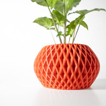 Diamond Comb Planter