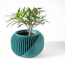 Sweep Fin Planter