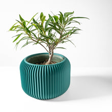 Flute Bowl Planter