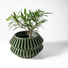 Zigzag Hex Planter