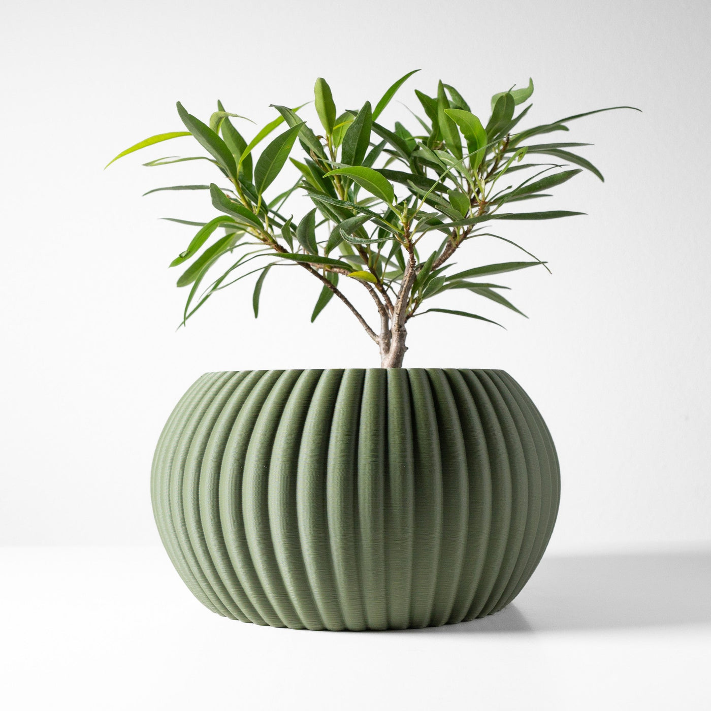 Fine Rib Planter