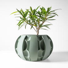 Fin Petal Planter