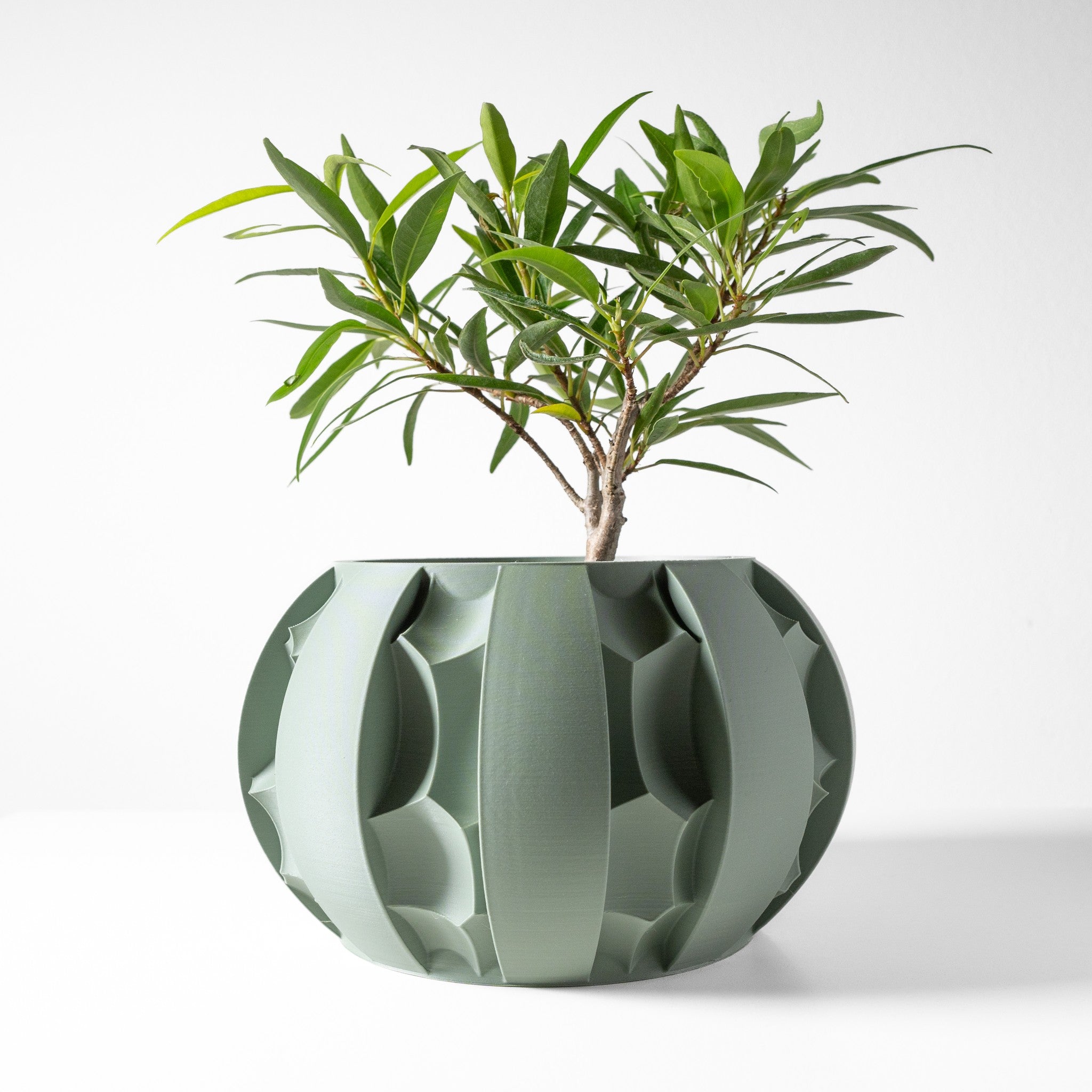 Fin Petal Planter - 3D printed planter by Valence Objects
