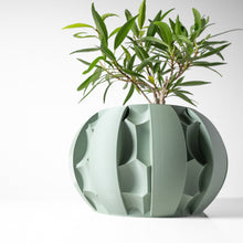 Fin Petal Planter