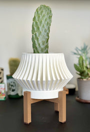 Flared Fin Planter - 3D printed planter by Valence Objects