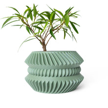 Disc Stack Planter
