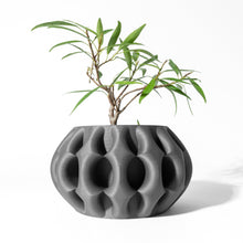 Wave Fin Planter