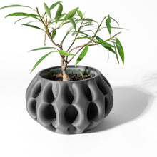 Wave Fin Planter
