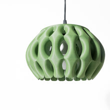 Organic Lobe Pendant Light