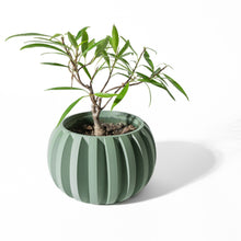 Rib Globe Planter