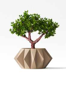 Gem Hex Planter