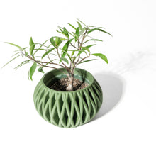 Fin Bowl Planter