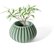 Pillar Rib Planter - 3D printed planter by Valence Objects