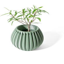 Pillar Rib Planter