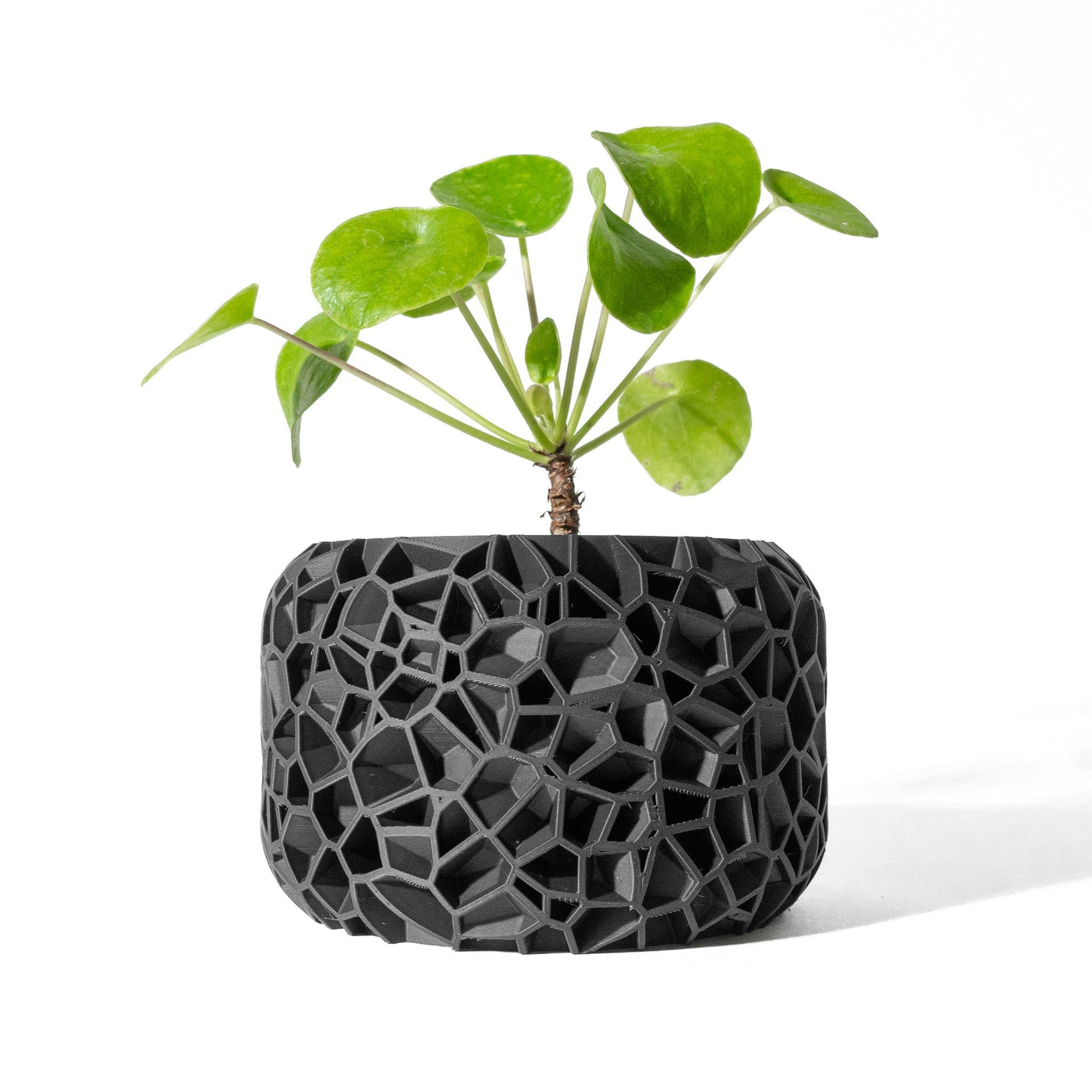 Cell Block Planter