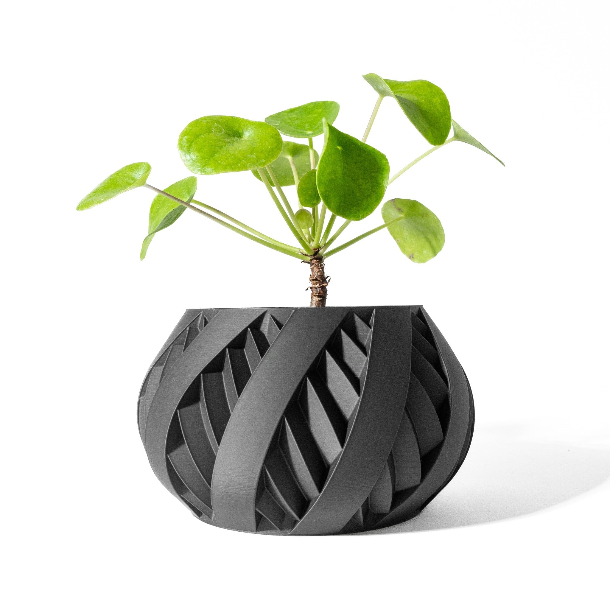 Ribbon Swirl Planter - 3D printed planter by Valence Objects