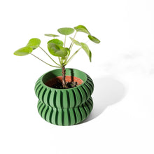 Wave Flute Planter