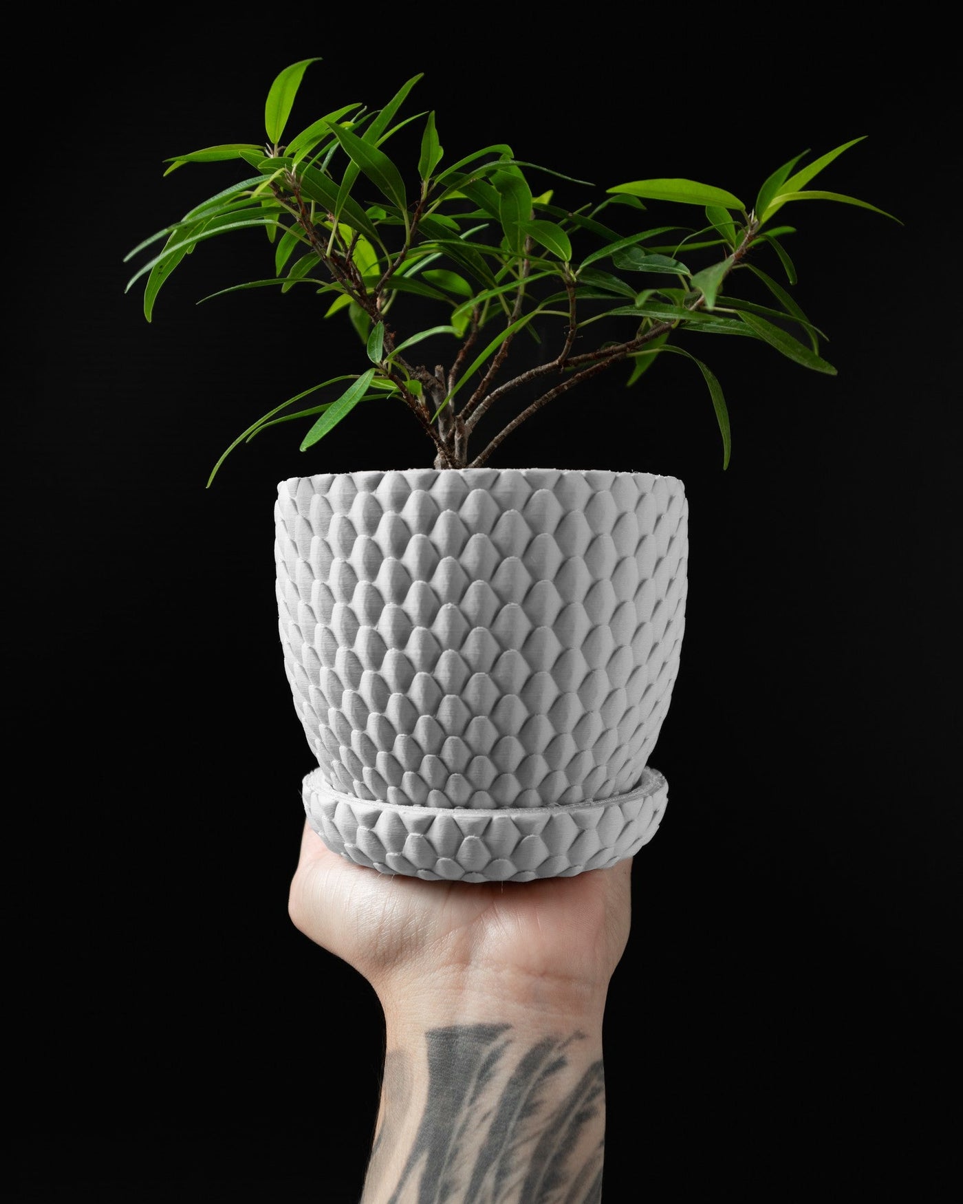 Scaled Dome Planter