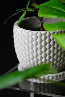 Scaled Dome Planter