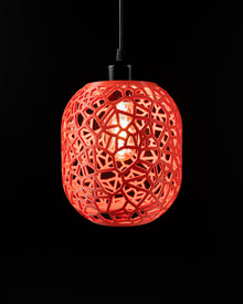 Web Capsule Pendant Light