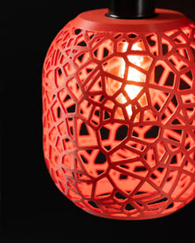 Web Capsule Pendant Light