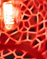 Web Capsule Pendant Light - 3D printed pendant light by Valence Objects