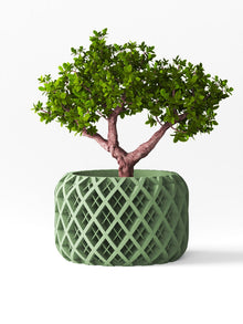 Diamond Basin Planter
