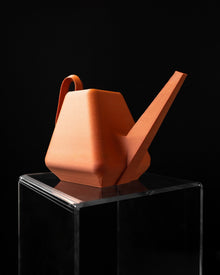 Facet Watering Can
