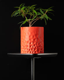 Faceted Wall Planter