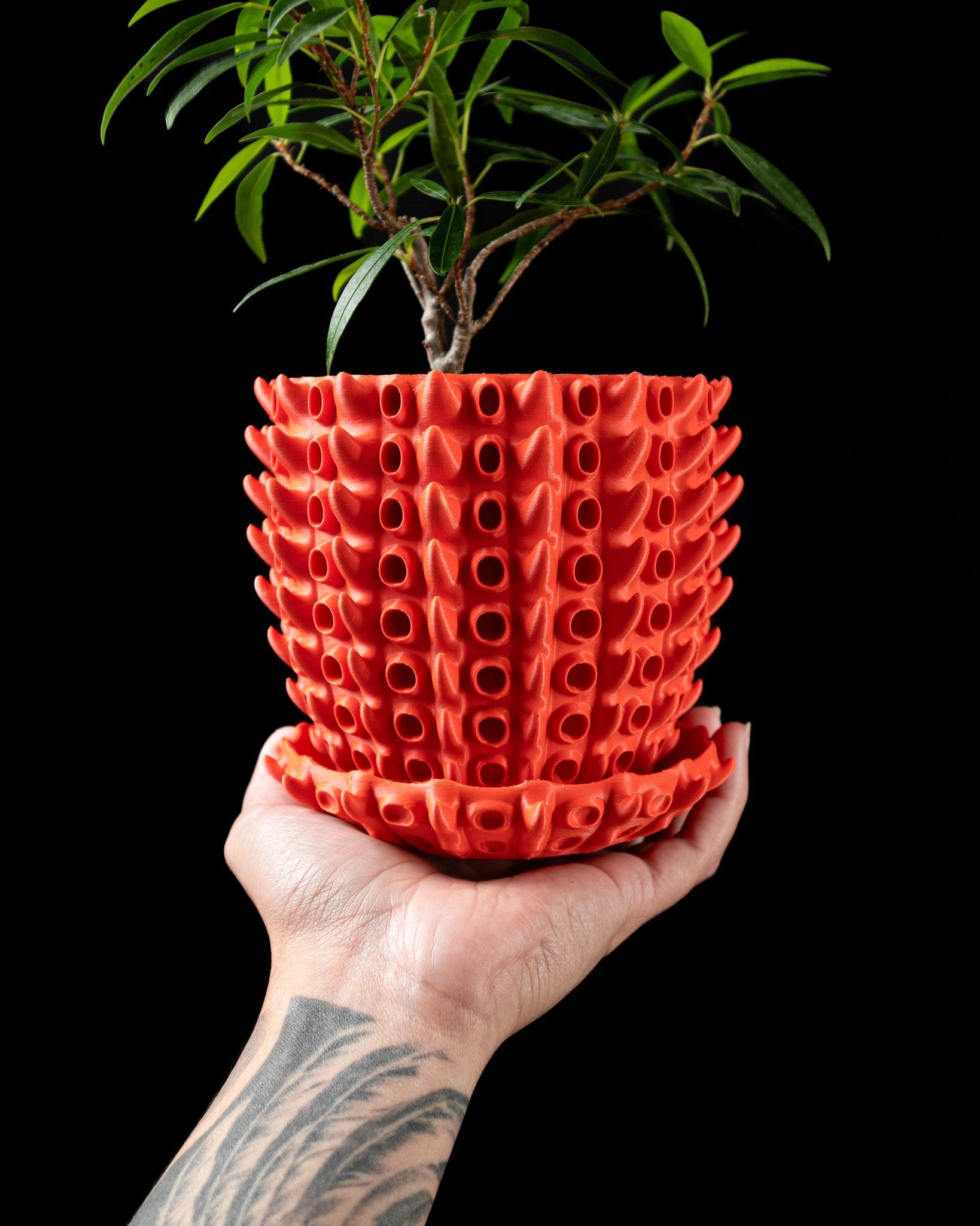 Coral Tube Planter - 3D printed planter by Valence Objects