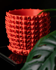 Coral Tube Planter