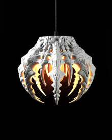 Claw Dome Pendant Light